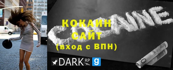 дживик Арсеньев