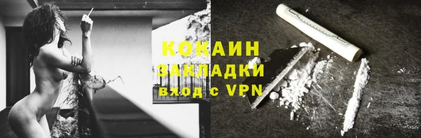 дживик Арсеньев